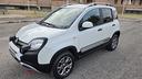 fiat-panda-cross-1-3-mjt-95-cv-s-s-4x4-unico-propr