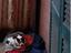 Immagine 19