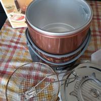 Friggitrice elettrica