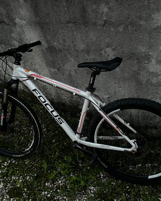 Bicicletta focus Trattabile