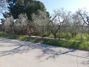 Terreno in Contrada Labianca