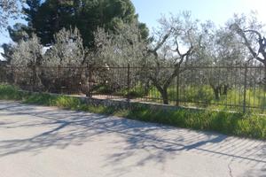 Terreno in Contrada Labianca