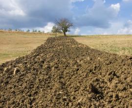 Cercasi terreni agricoli in affitto