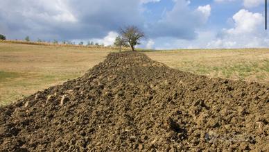 Cercasi terreni agricoli in affitto