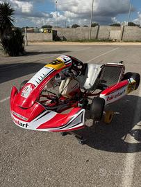  telaio birel art  s14 