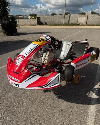  telaio birel 