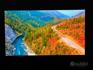 Panasonic LZ1500E - OLED - 55”