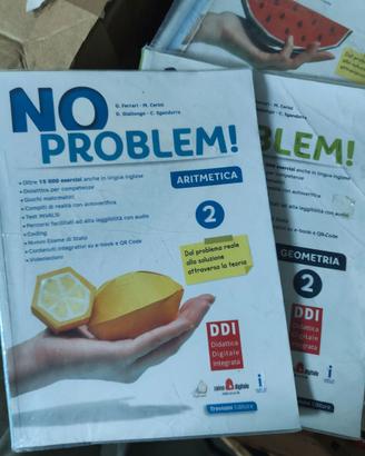 libro No Problem 2 ISBN 9788829213160
