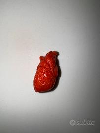 Cuore ultra realistico in Corallo