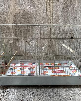 Gabbia da riproduzione