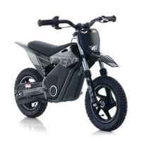 Mini Moto Elettrica 36V 250W