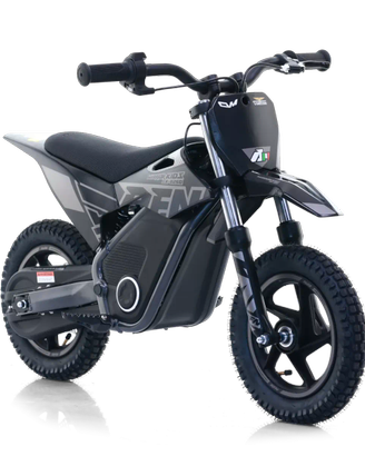Mini Moto Elettrica 36V 250W