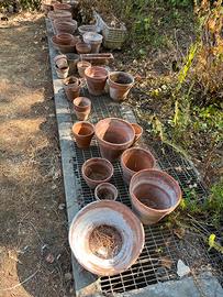 Vasi in terracotta