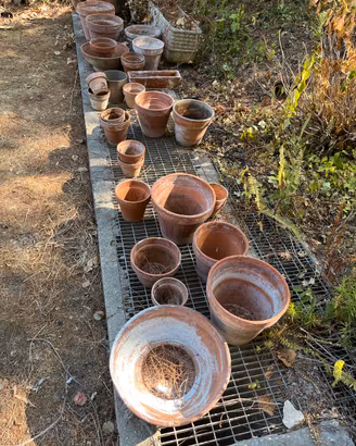 Vasi in terracotta