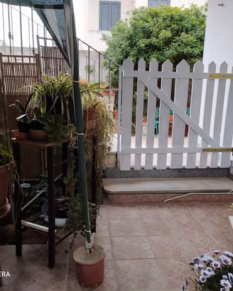 PenisolaSinis Cabras PT giardino dal 23 Agosto
