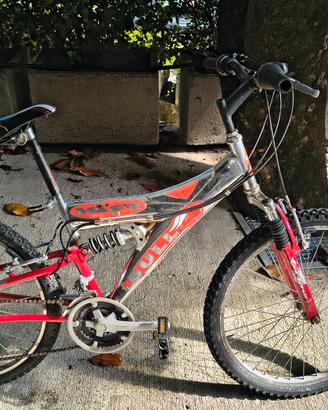 Bicicletta Mountain bike 