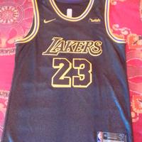 LeBron James Los Angeles Lakers NBA Maglia Nike