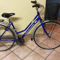Bicicletta Bottecchia City Bike Donna taglia M