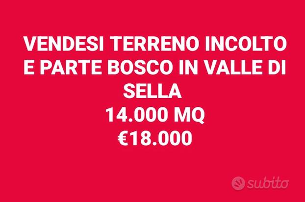 Terreno boscato in Valle di Sella Borgo Valsugana