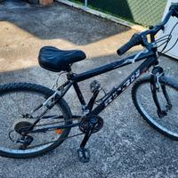 MOUNTAIN BIKE RUOTA 24