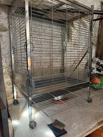 Gabbia per uccelli