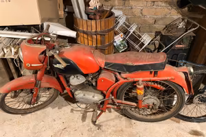 Ceccato 100