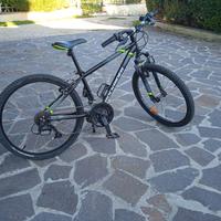 bicicletta bambino 