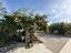 Immagine 29