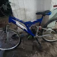 due biciclette usate