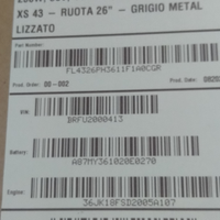 Bici elettrica Brinke