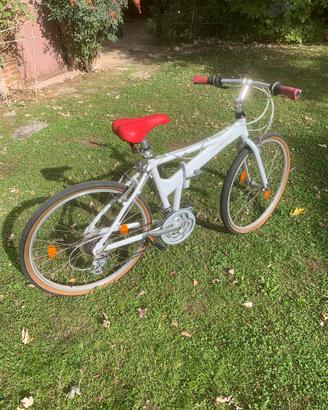 Bicicletta