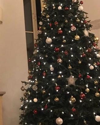 Albero di Natale