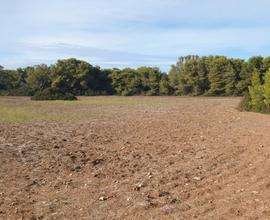 Terreno Litoranea Taranto