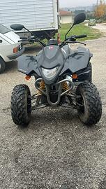 Quad derbi dxr 250