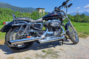Harley Davidson Sportster 1200 custom 2004
