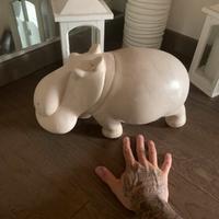 Ippopotamo in pietra africana