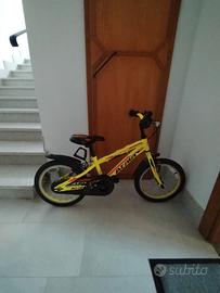 bici Atala