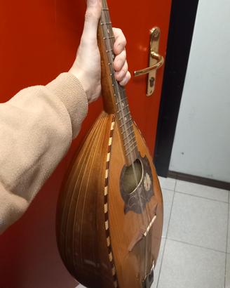 Mandolino Napoletano 