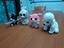 Immagine 1