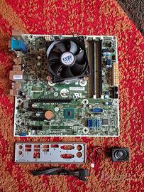 Scheda madre LGA 1151 m-ATX da HP 400 G3 + i5 6500