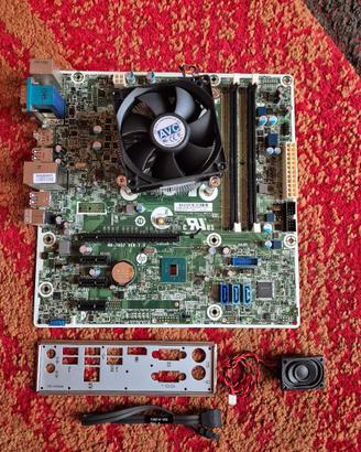 Scheda madre LGA 1151 m-ATX +  Pentium G4400
