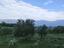Immagine 14