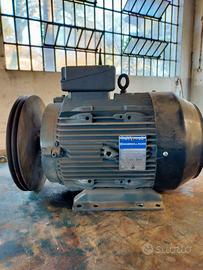 Motore trifase 11,4 hp