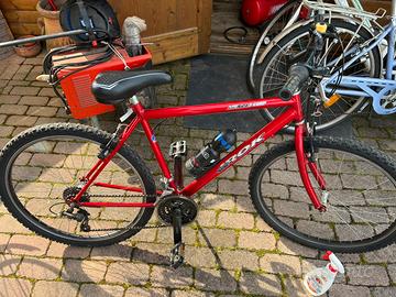 Bicicletta mountainbike