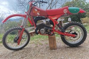 beta 250 cross 1982