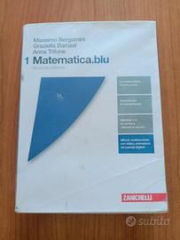 Matematica.blu 1