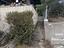 Immagine 15