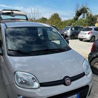 PANDA 1.2  2017 LOUNGE