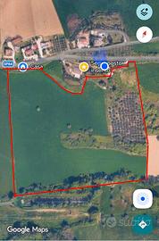 Terreno Agricolo oltre 4 Ettari LAPEDONA