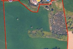 Terreno Agricolo oltre 4 Ettari LAPEDONA